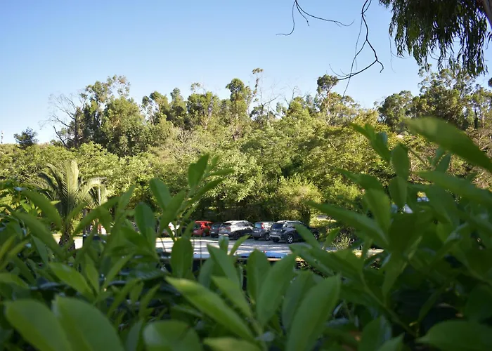 Parque de vacaciones Oasi Diano Marina